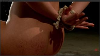 [欧美经典] Felony Sheena Ryder Damsel in Distress Sheena Ryder Submits to Felonys Heavy Hand